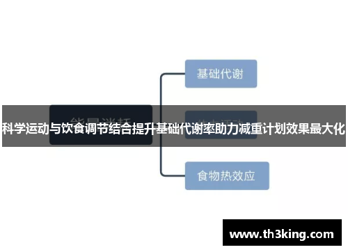 科学运动与饮食调节结合提升基础代谢率助力减重计划效果最大化